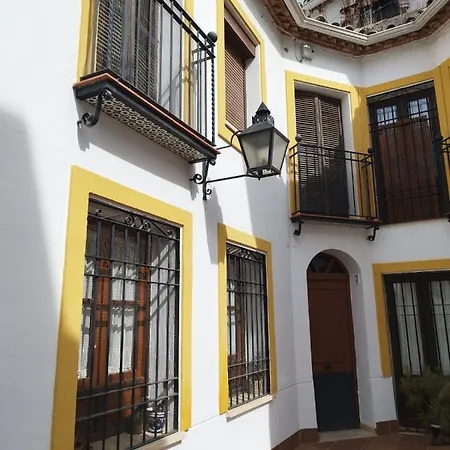 Atico Muy Luminoso En El Casco Antiguo Apartment